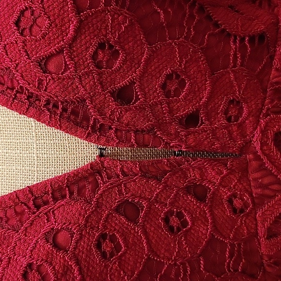 FREE PEOPLE One Million Lace Lover V-neck Dress in Burgandy - size 6 - Picture 3 of 16